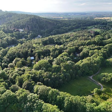 Ferienwohnung Im Logierhaus Villa Ihler Luisenthal Екстер'єр фото