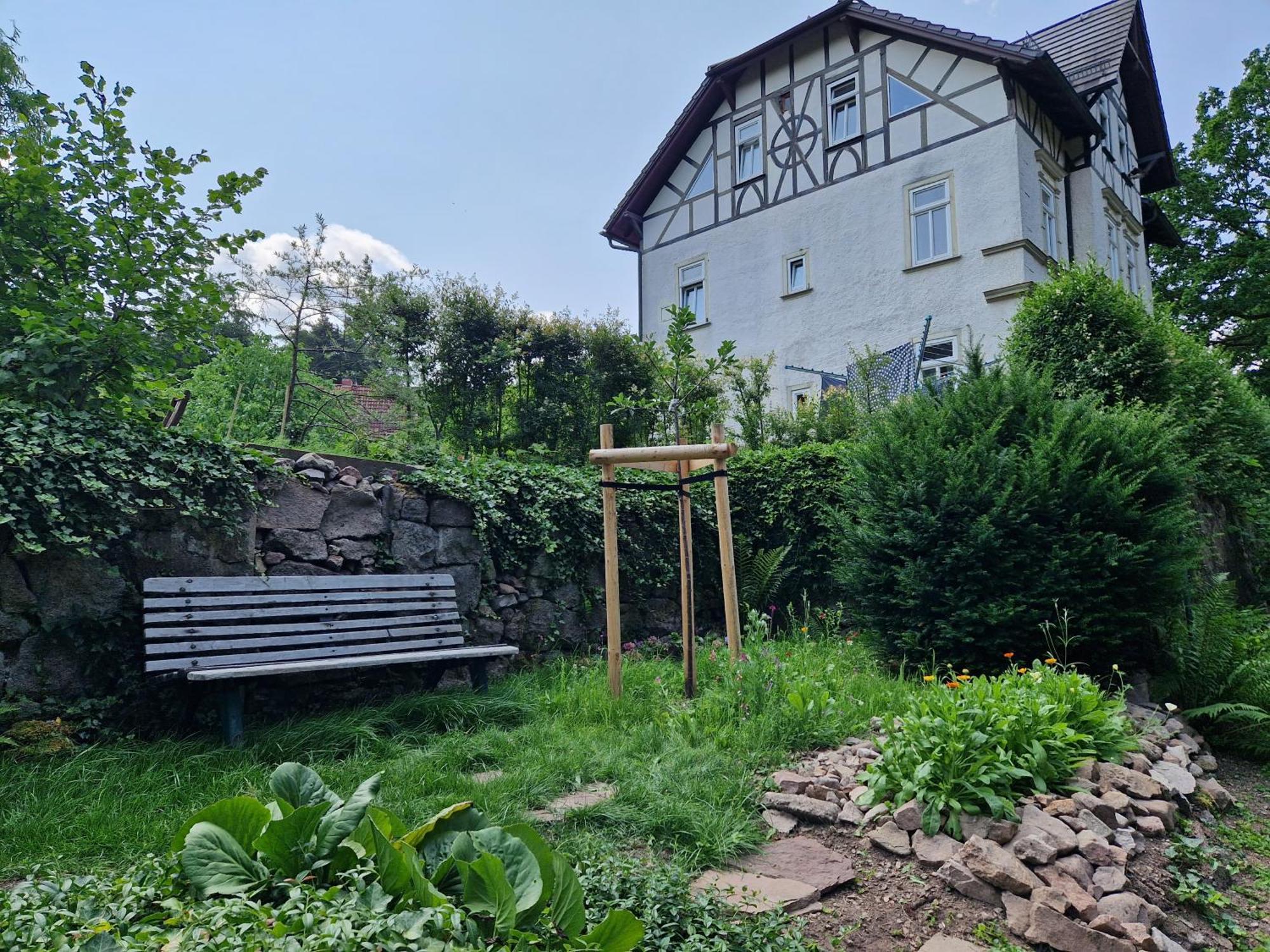 Ferienwohnung Im Logierhaus Villa Ihler Luisenthal Екстер'єр фото