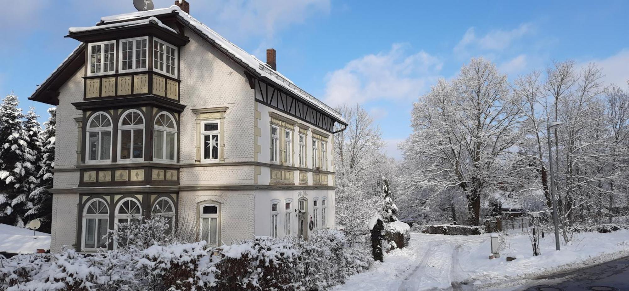 Ferienwohnung Im Logierhaus Villa Ihler Luisenthal Екстер'єр фото